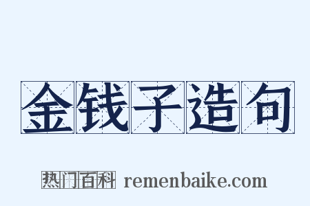 金钱子造句是什么意思的图片